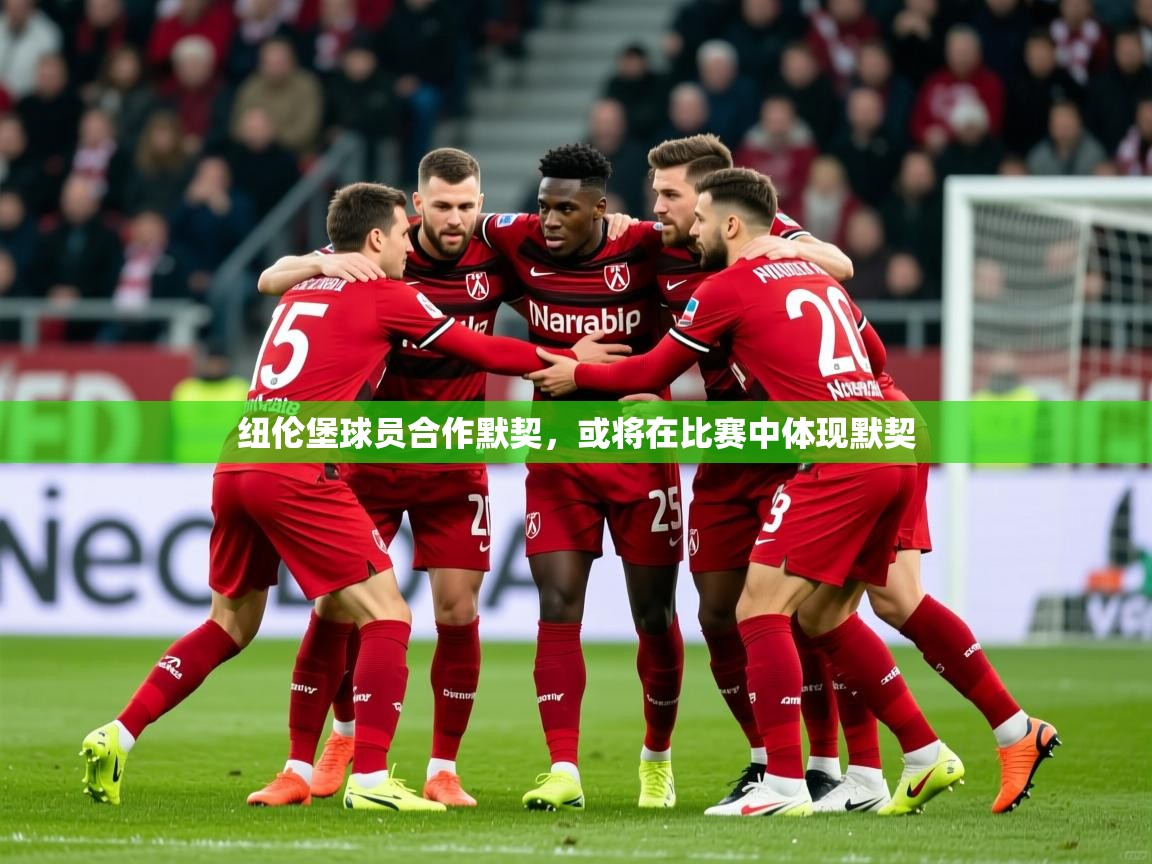 2025爱游戏体育在线网址纽伦堡球员合作默契，或将在比赛中体现默契  第1张