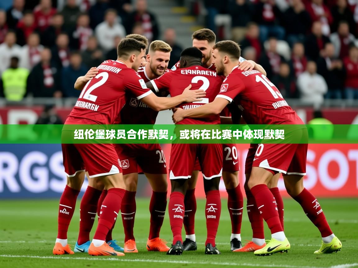 2025爱游戏体育在线网址纽伦堡球员合作默契，或将在比赛中体现默契  第3张