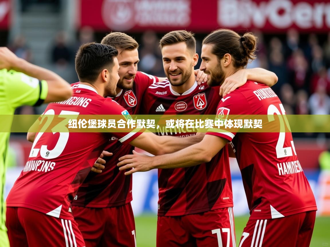 2025爱游戏体育在线网址纽伦堡球员合作默契，或将在比赛中体现默契  第4张