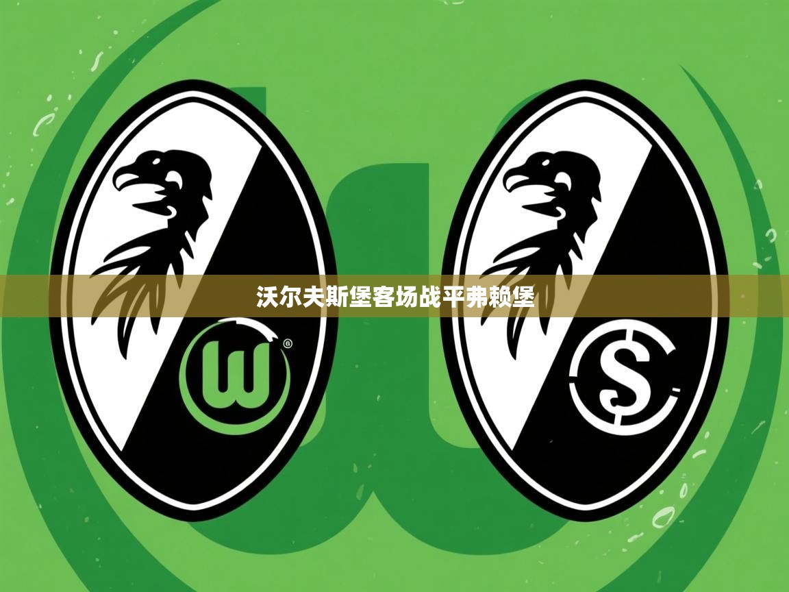 2026爱游戏体育在线网址沃尔夫斯堡客场战平弗赖堡  第3张